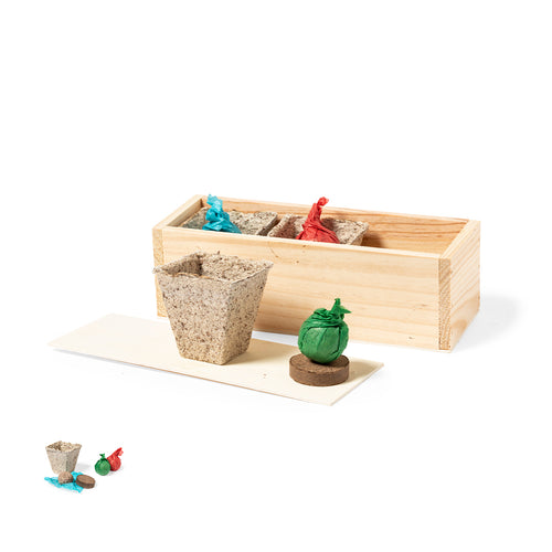 Kit de jardin avec graines de coriandre, persil et basilic - Mendrax Personnalise