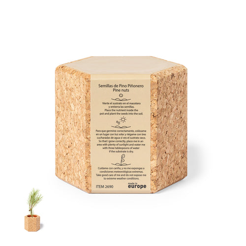 Pot ligne nature avec graines de pin - Gulytel Personnalise