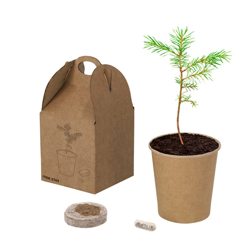 Pot de semences de pin - Vencor Personnalise