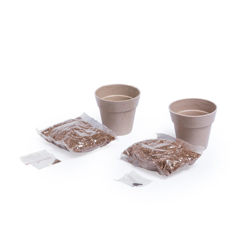 Ensemble de 2 pots avec graines de menthe poivrée et persil en pot nature line - Nertel Personnalise