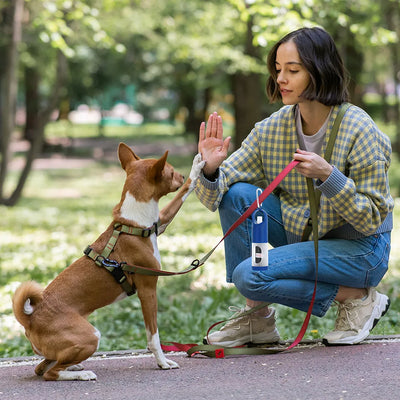 Accessoires pour animaux